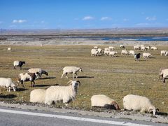 -青海湖国家重点风景名胜区