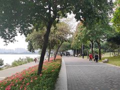 -深圳湾公园(南山区)
