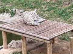 -石家庄市动物园