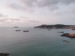-枸杞岛