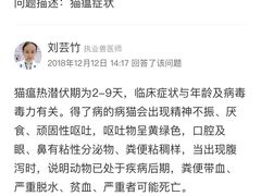 -瑞鹏宠物医院·爱宠堂·骨外专科(西荷分院)