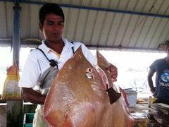 -尼甘布海鲜市场