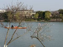 -羊山湖公园