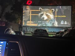 -枫花园汽车电影院(朝阳公园店)