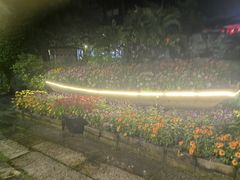 -花溪雨·森林餐厅(石基店)