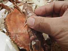活蒸虾虎-禾斗海鲜自助(市南银座店)