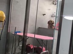 -宠福鑫康馨动物医院·骨科·眼科