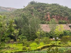 -黄金寨原生态旅游区