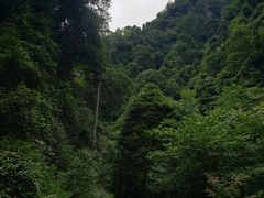 -峨眉山报国寺
