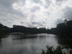 -金山植物公园