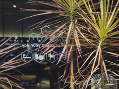 -Maxpoint Kitchen 西餐咖啡(乐峰广场店)