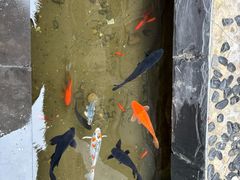 -宝通禅寺
