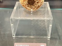 -广西壮族自治区博物馆