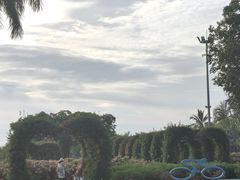 -万绿园