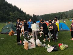 -武陵山森林公园