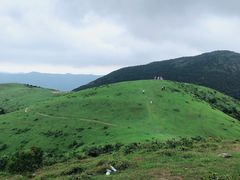 -大姆山草场