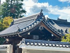 -天龙寺