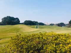 -银涛高尔夫练习场(徐泾店)