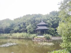-天目湖山水园