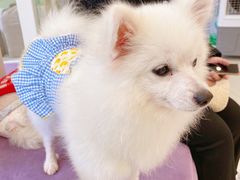 -怪兽屋·羊驼·猫咖·狗咖(俊华广场店)