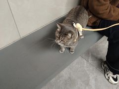 -半岛宠物医院24小时(白果林店)