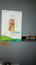 点击看大图 -博士园·女士严重脱发生发中心