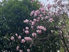-武汉交通职业学院