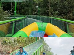 -贵州森林野生动物园
