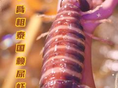 -辉记炭烧海鲜大排档·老字号(福田店)