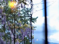 -松赞丽江山居餐厅