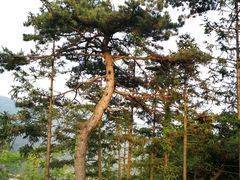 -罗田薄刀峰风景区