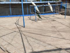 -森林公园(尖草坪区)