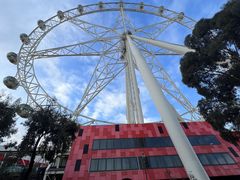 -墨尔本之星 观景摩天轮