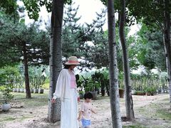-圣露庄园·亲子活动乐园·露营·团建婚礼