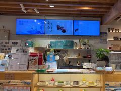 -猫的天空之城概念书店(丽江古城饮玉巷店)
