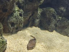 -福州罗源湾海洋世界旅游区