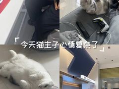 -立德24H动物医院·夜诊·转诊中心·1.5T核磁共振(海珠店)
