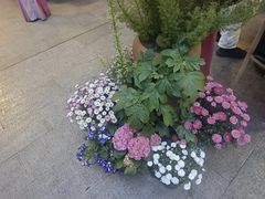 -老鼎万春卤菜(五代传承创始老店)