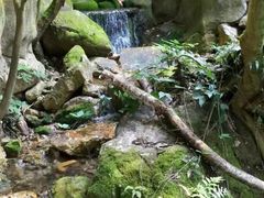 -雁南飞茶田景区