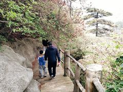 -木兰云雾山