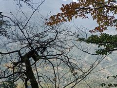 -青城山