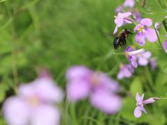 -西湖风景区-江洋畈生态公园