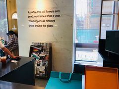 -星巴克(汾阳路店)