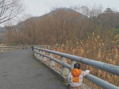 -西湖风景区-江洋畈生态公园