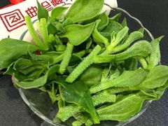 -一叶一世界•素食餐厅(环球中心店)