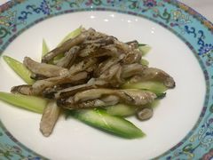 -新光酒家·河豚·海鲜·蟹料理(浦东店)