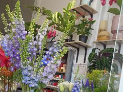 -FEI FEI FLOWER鲜花店·气球派对·宝宝宴布置(虹口德必运动Loft店)