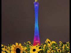 -海心沙(地铁站)