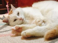 -马克西姆餐厅(崇文门店)