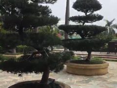 -科尔海悦酒店·柏顿花园餐厅(清河东路店)